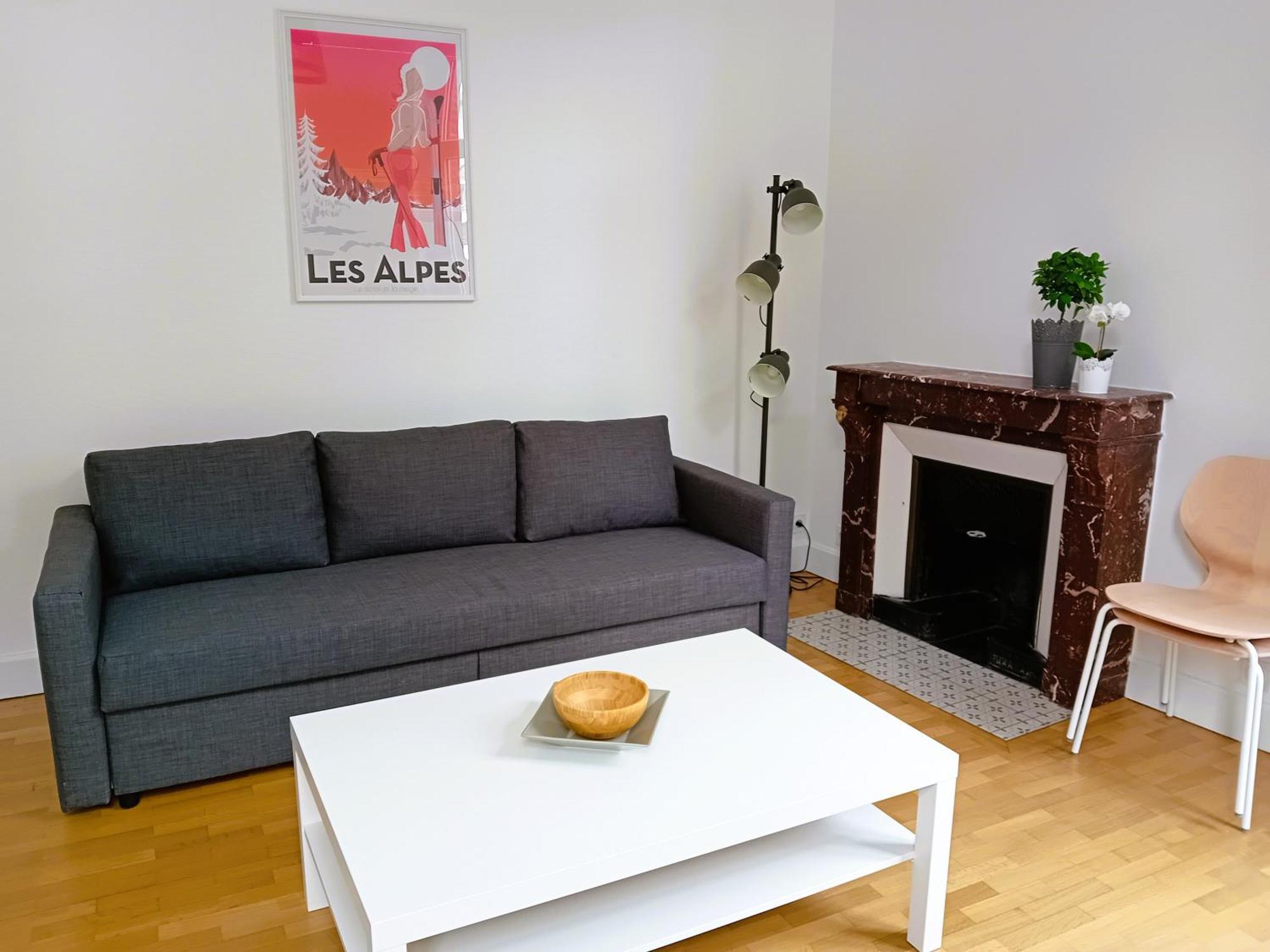 102 - Appart Renove Avec Grand Salon Et 1 Chambre - Tram Et Clinique Mutualiste A 1 Min Grenoble Eksteriør bilde
