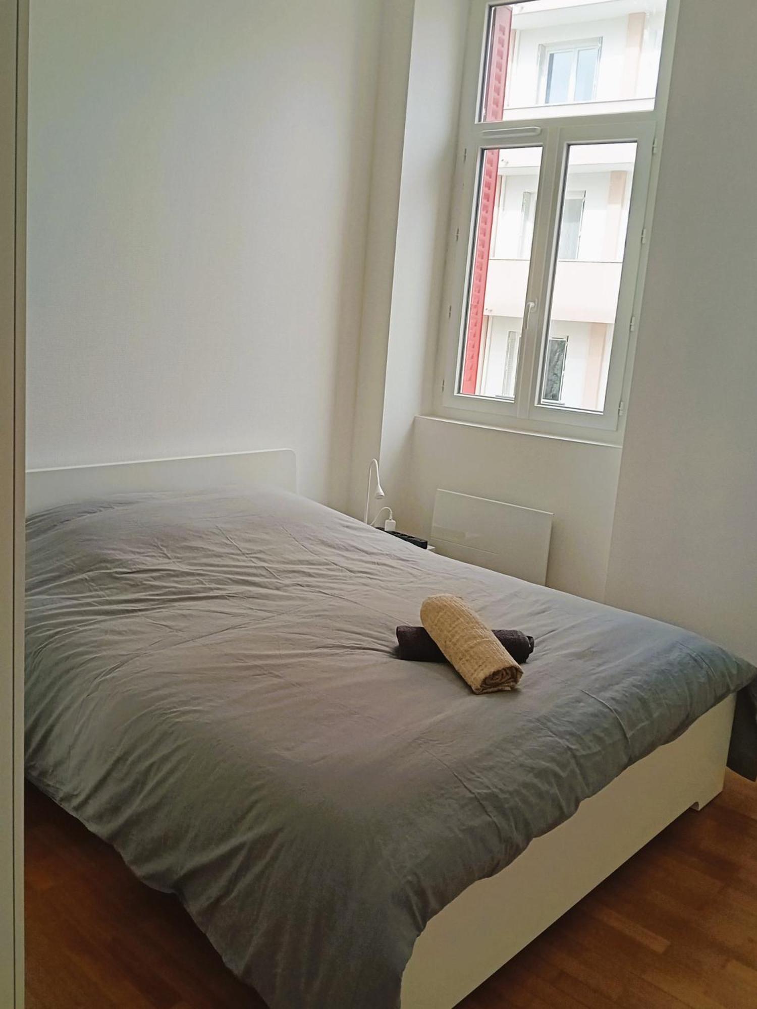 102 - Appart Renove Avec Grand Salon Et 1 Chambre - Tram Et Clinique Mutualiste A 1 Min Grenoble Eksteriør bilde